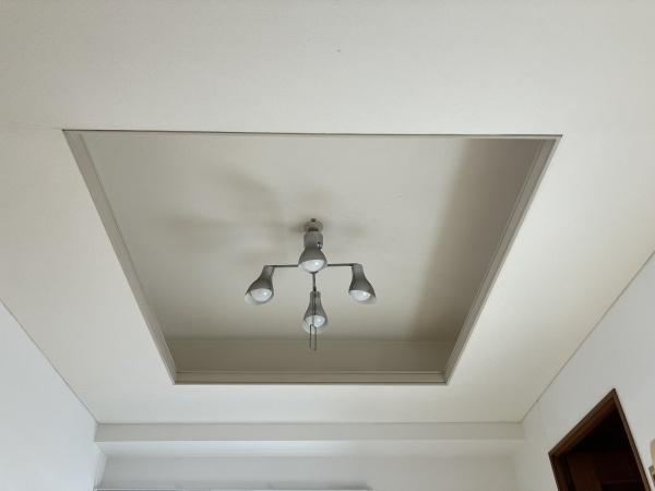 シャンボール康生