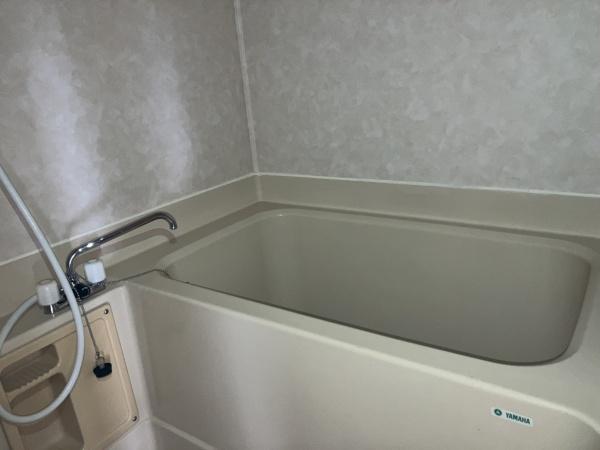 シャンボール康生