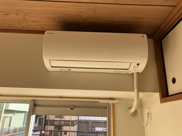 シャンボール康生