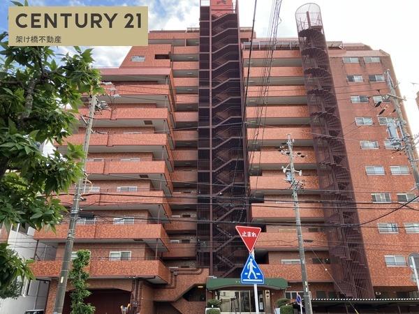 シャンボール康生