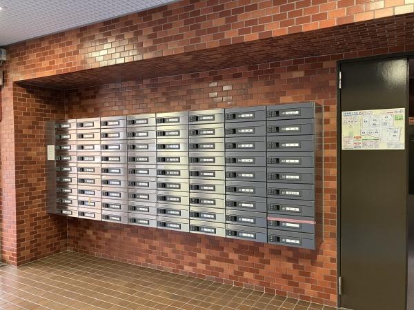 シャンボール康生