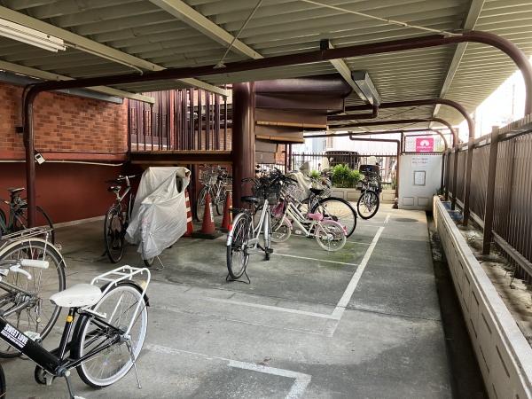 シャンボール康生