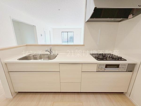 豊橋市石巻西川町第1新築戸建（全３棟）１号棟