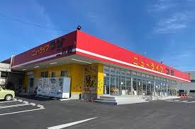 豊橋市雲谷町字上ノ山の土地(ニューライフフジ二川店)