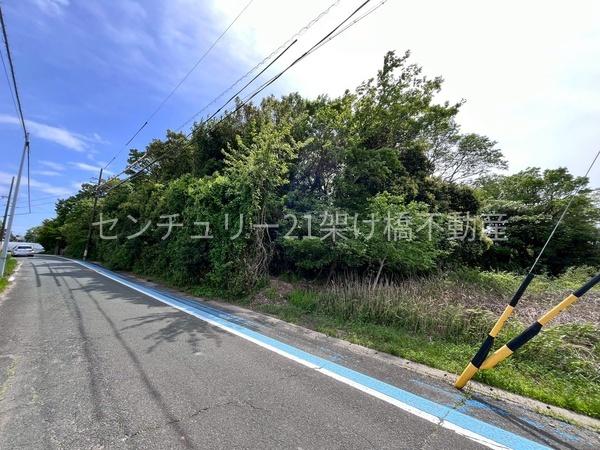 豊橋市細谷町　土地
