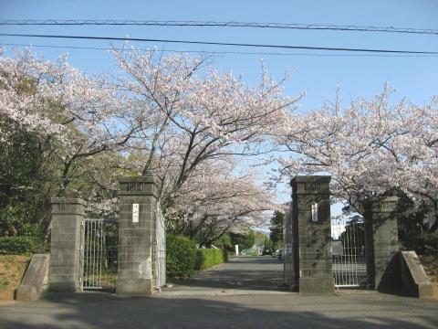 豊橋市東新町の土地(豊橋市立青陵中学校)