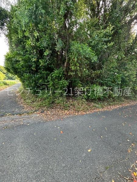 豊橋市植田町字中池　土地