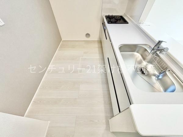 豊橋市高洲町第1期　新築戸建　全3棟　2号棟
