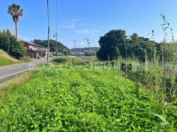 豊橋市寺沢町　土地