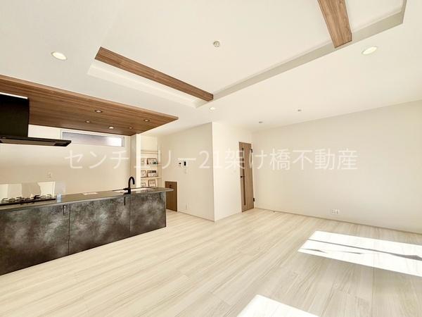 豊橋市新栄町南小向　新築戸建　全１棟
