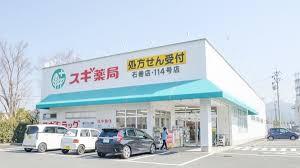 豊橋市石巻萩平町字大向の中古一戸建て(スギ薬局石巻店)