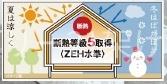 豊橋市牟呂中村　新築戸建　全１棟　１号棟