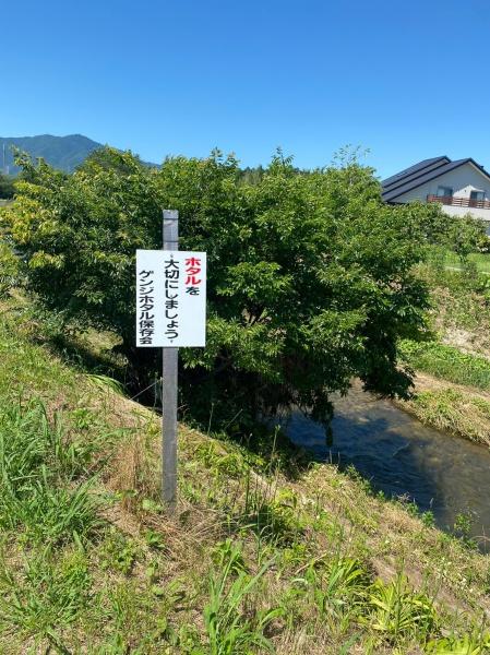 豊川市大木町荒屋の土地