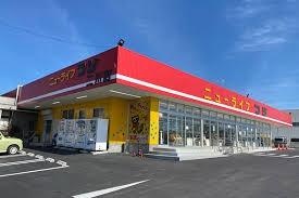 豊橋市西山町字西山の中古一戸建て(ニューライフフジ二川店)