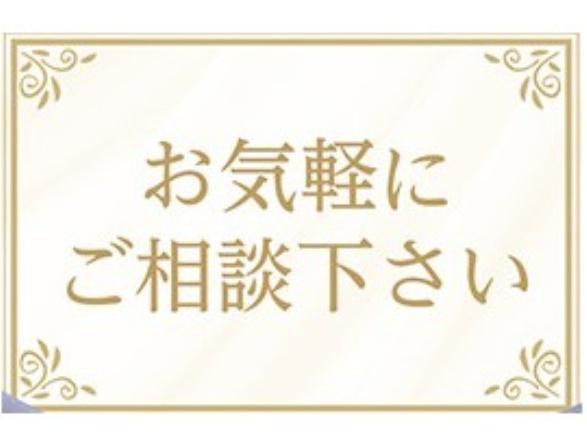 豊橋市新栄町字鳥畷の土地