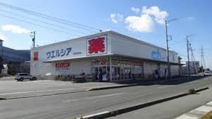 豊橋市原町字蔵社の土地(ウエルシア湖西新所原店)