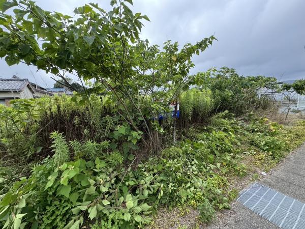豊橋市原町字蔵社　土地