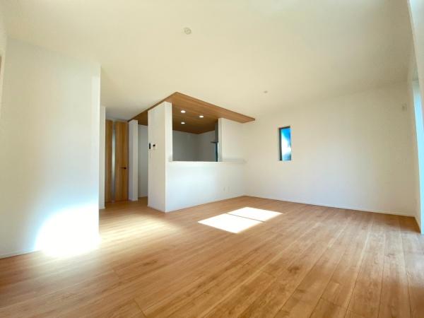 豊川市三蔵子町新築戸建(全11棟)１号棟グラファーレ