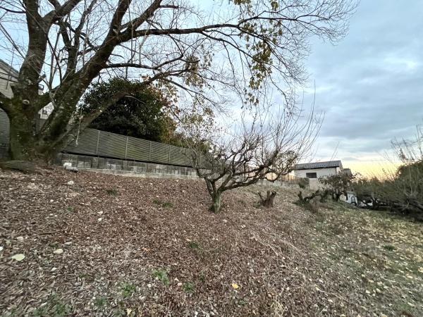 犬山市大字富岡字北洞の中古一戸建て