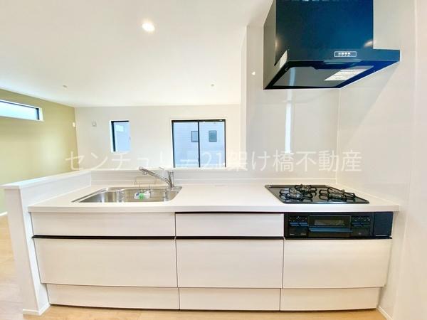 豊川市本野町1期　新築戸建（全７棟）１号棟　リナージュ