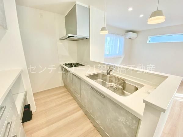 豊川八幡駅南　新築戸建（C-25号棟）セキュレアガーデン