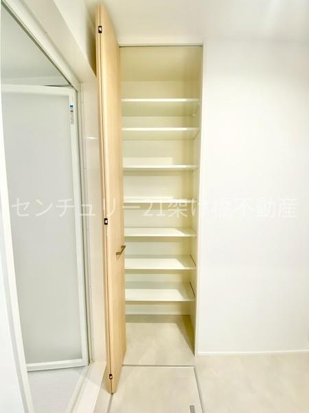 豊川八幡駅南　新築戸建（C-25号棟）セキュレアガーデン