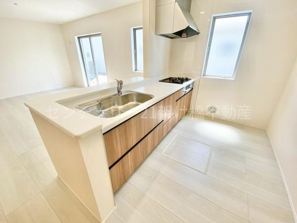 豊川第76御津町御馬東　新築戸建（全３棟）１号棟