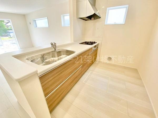 豊川第76御津町御馬東　新築戸建（全３棟）２号棟