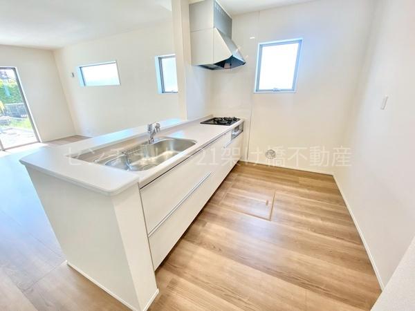 豊川第76御津町御馬東　新築戸建（全３棟）３号棟
