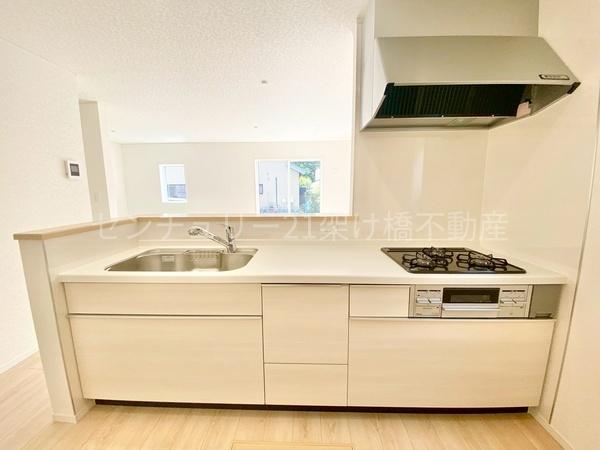 豊川市伊奈町第25　新築戸建（全1棟）