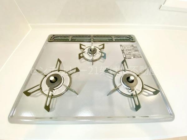 新城市町並　新築戸建（全１棟）