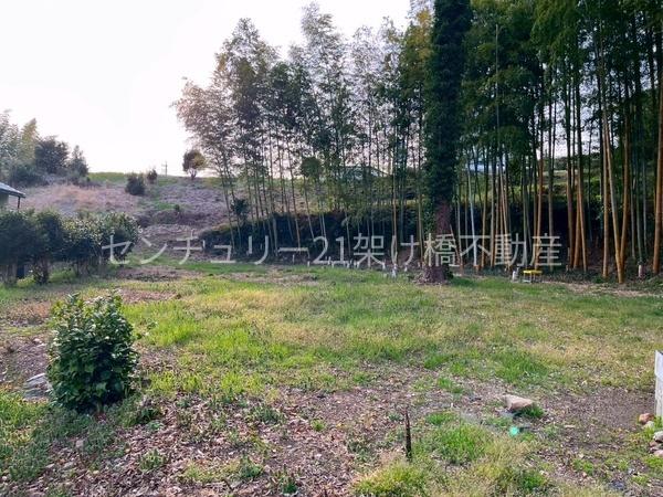 豊橋市石巻本町字西下地の土地