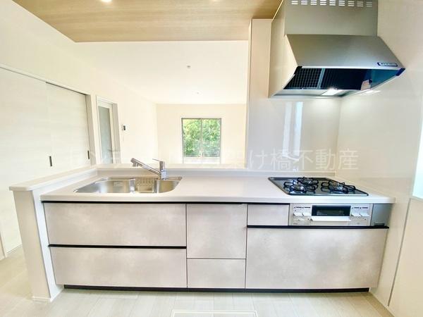 豊川市金屋本町1丁目59期　新築戸建(全３棟)３号棟