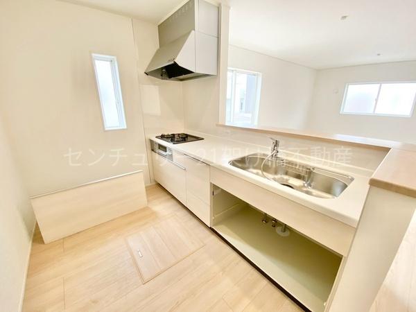 豊川市伊奈町第24　新築戸建（全１０棟）４号棟