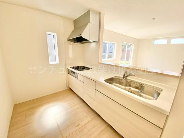豊川市伊奈町第24　新築戸建（全１０棟）７号棟