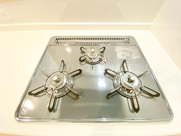 豊川市伊奈町第24　新築戸建（全１０棟）８号棟