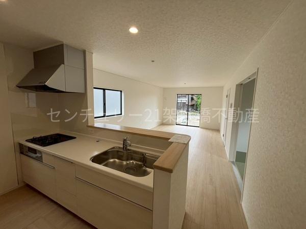 岡崎市国正町第1　新築戸建（全4棟）1号棟