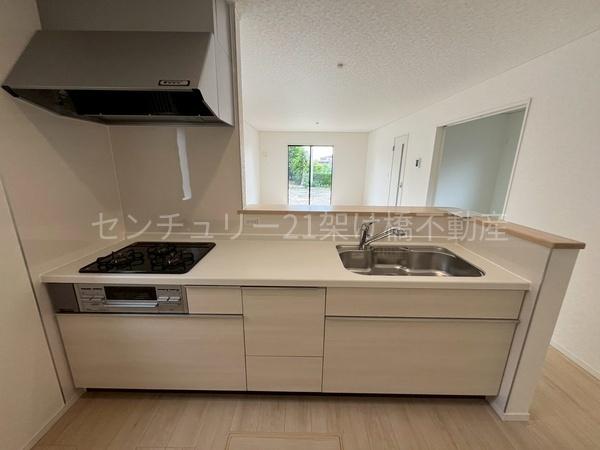 岡崎市国正町第1　新築戸建（全4棟）1号棟