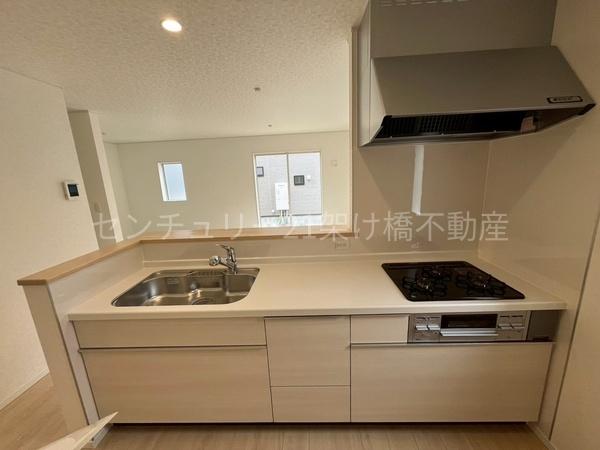 岡崎市国正町第1　新築戸建（全4棟）2号棟