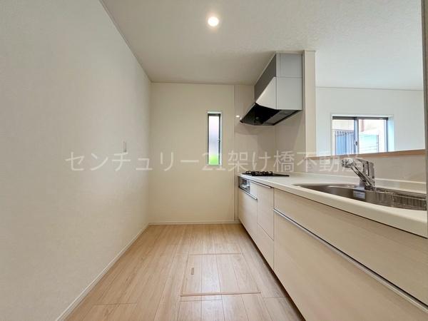 岡崎市国正町第1　新築戸建（全4棟）3号棟