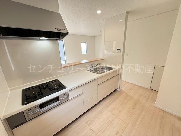 岡崎市国正町第1　新築戸建（全4棟）3号棟