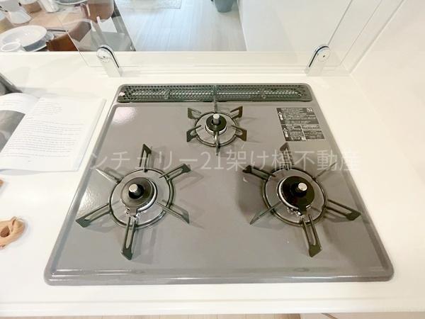 岡崎市中島町01期　新築戸建（全2棟）１号棟