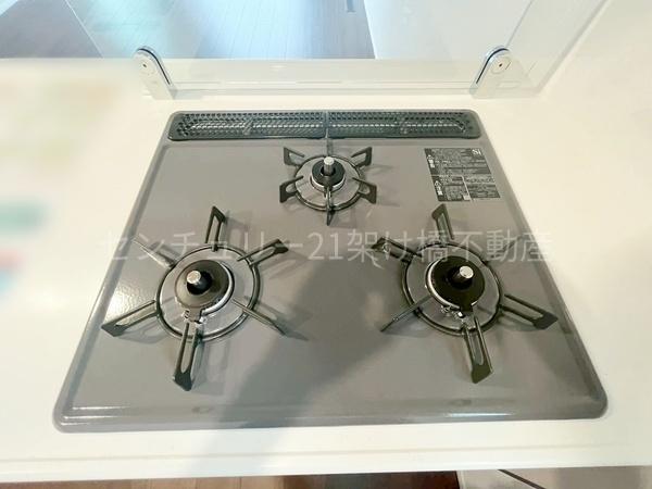 岡崎市中島町01期　新築戸建（全2棟）２号棟