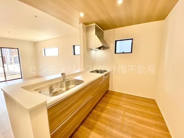 豊川市御津町大草59期　新築戸建（全2棟）１号棟