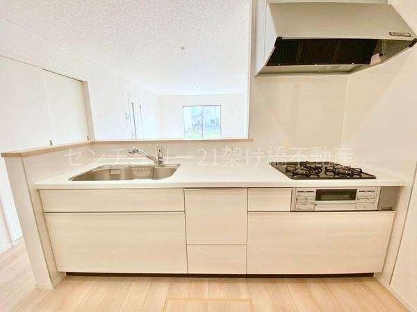 蒲郡市豊岡町第8　新築戸建（全3棟）2号棟
