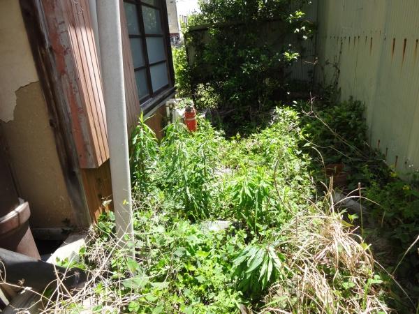 茂原市高師の土地
