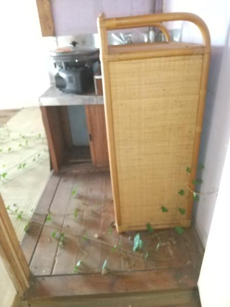 茂原市高師の土地