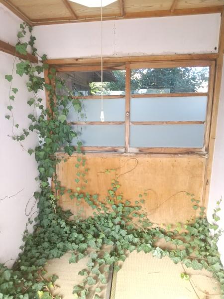 茂原市高師の土地