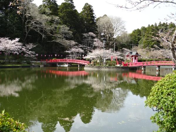 茂原市綱島の中古一戸建て(茂原公園)