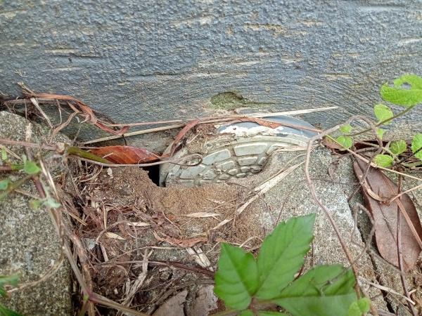 茂原市下永吉の中古一戸建て